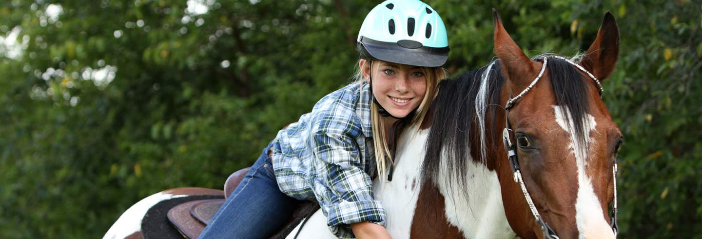 cheval bessillon equitation